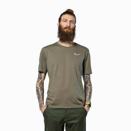 Мъжка тениска Salewa Eagle Vocab faded green
