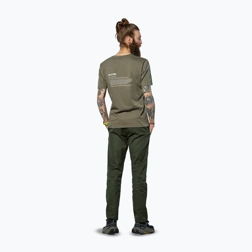 Мъжка тениска Salewa Eagle Vocab faded green