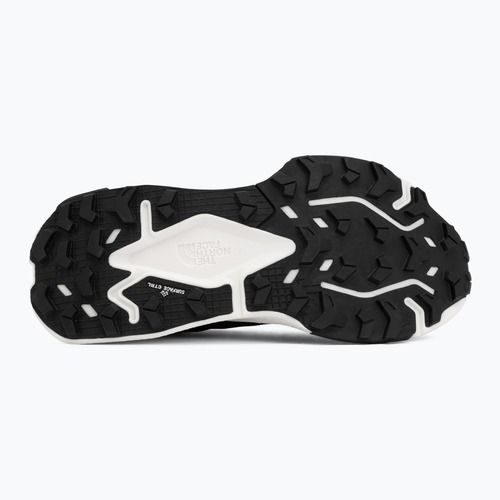 Мъжки обувки за бягане The North Face Altamesa 500 V2
