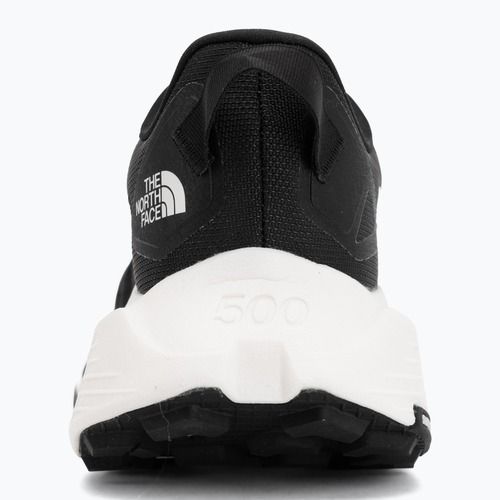 Мъжки обувки за бягане The North Face Altamesa 500 V2