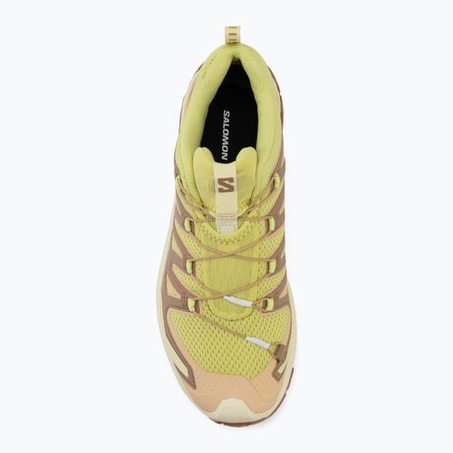 Дамски обувки за бягане Salomon XA Pro 3D V9 endive/burro/almond cream