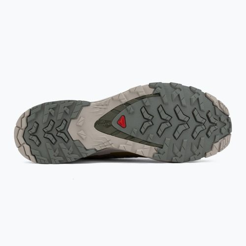 Мъжки обувки за бягане Salomon XA Pro 3D V9 sedona sage/plantation/paloma