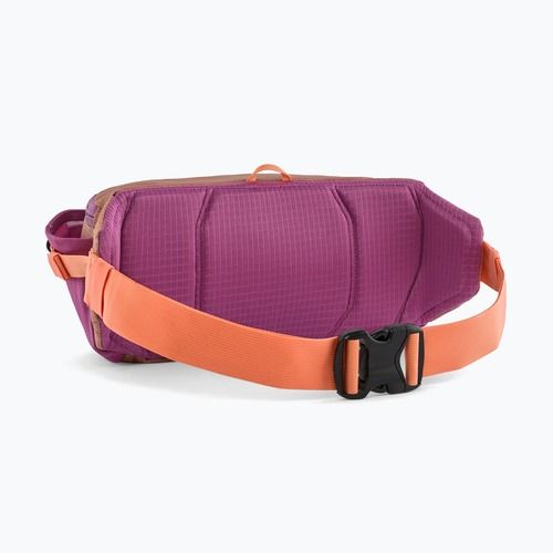 Чантичка за кръста Patagonia Black Hole Waist Pack 5 l peach sherbet