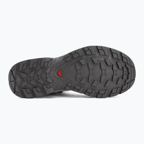 Дамски обувки за трекинг Salomon Quest Echo GTX gull/paloma/bog
