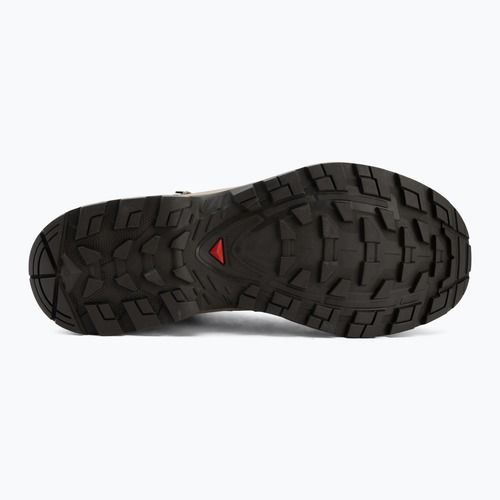 Мъжки обувки за трекинг Salomon Quest Echo GTX walnut/dsrtan/blko