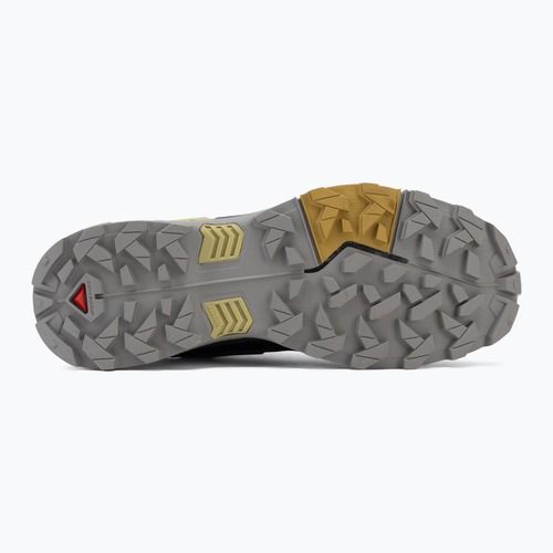 Мъжки обувки за трекинг Salomon X Ultra 5 cloudburst/black/willow