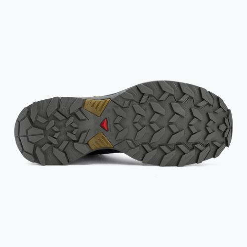 Мъжки обувки за трекинг Salomon X Ultra 360 MID GTX urban chic/black