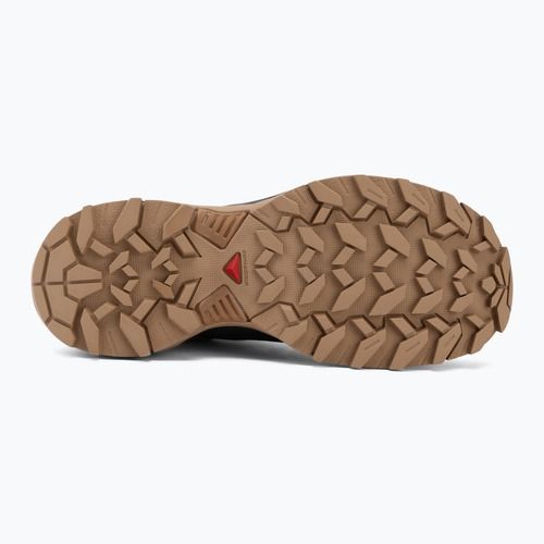 Дамски обувки за трекинг Salomon X Ultra 360 GTX burro/asphalt