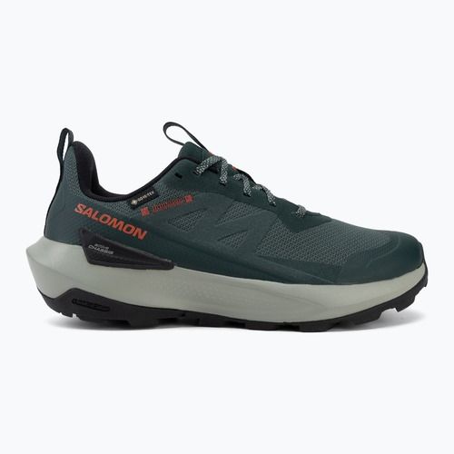 Мъжки туристически обувки Salomon Elixir Activ GTX scarab/green gable