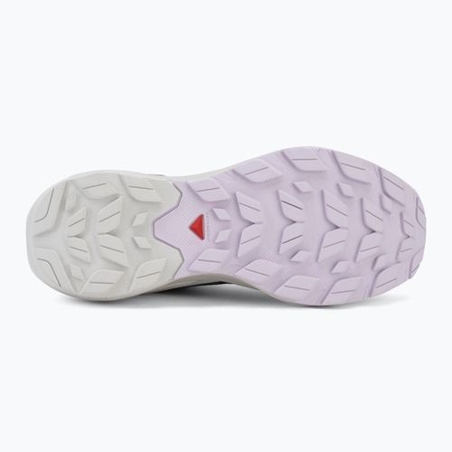 Дамски туристически обувки Salomon Elixir Activ GTX shskin/glacier gray/opetal