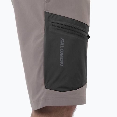 Мъжки шорти за трекинг Salomon Outerpath Utility iron
