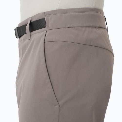 Мъжки шорти за трекинг Salomon Outerpath Utility iron