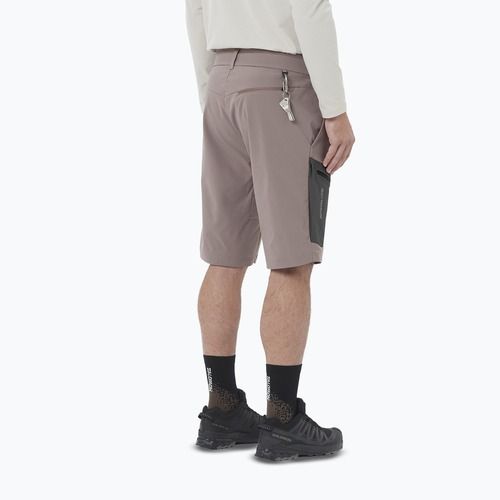 Мъжки шорти за трекинг Salomon Outerpath Utility iron
