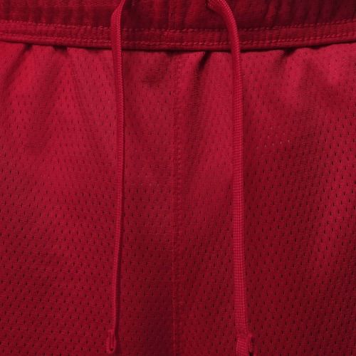 Мъжки къси панталони/шорти Jordan Sport Essentials Dri-Fit gym red