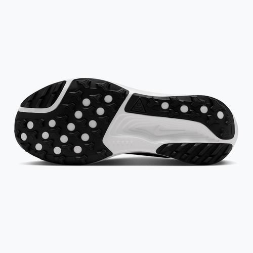 Мъжки обувки за бягане Nike ACG Pegasus Trail black/anthracite/summit white