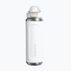 Термо бутилка Stanley Classic Wellspring frost
