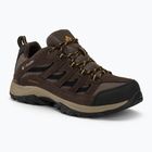 Мъжки туристически обувки Columbia Crestwood mud/squash