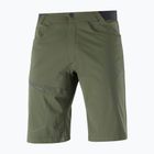 Мъжки къси панталони за трекинг Salomon Wayfarer green LC1762000