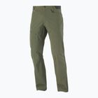 Мъжки панталони за трекинг Salomon Wayfarer green LC1739200