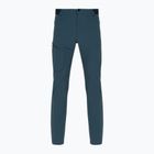 Мъжки панталони за трекинг Salomon Wayfarer blue LC1713700