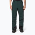 Мъжки панталони за сноуборд Oakley Axis Insulated green FOA403446