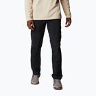 Мъжки панталони за трекинг Columbia Silver ridge II cargo 010 black 1794901