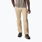 Мъжки панталони за трекинг Columbia Silver Ridge Utility ancient fossil