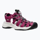 KEEN Astoria West дамски сандали beaujolais/star white