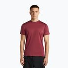 Мъжка тениска за трекинг icebreaker Merino 125 Cool-Lite Sphere III port