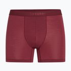 Мъжки термобоксерки icebreaker Anatomica Boxers port