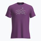 Мъжка тениска за трекинг Icebreaker Merino 125 Cool-Lite Sphere Tee Across The Peaks passion