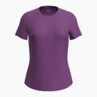 Дамска тениска за трекинг Icebreaker Merino 125 Cool-Lite Sphere III SS Tee passion