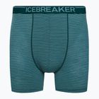 Мъжки термални боксерки Icebreaker Anatomica Greenglory 103029
