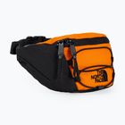 The North Face Jester Лумбална чанта за бъбреци оранжева NF0A52TM7Q61