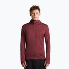 Мъжки суитшърт Icebreaker Merino 260 Quantum IV LS Zip Hoodie port/agate