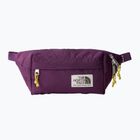 Чантичка за кръста The North Face Berkeley Lumbar black currant purple/yeellow silt