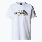 Мъжка тениска The North Face Mountain Line бяла