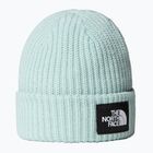 Детска зимна шапка The North Face Salty muted pine