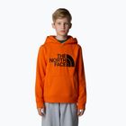 Детски суитшърт The North Face Drew Peak P/O Hoodie orange