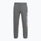 Мъжки панталони The North Face Varsity Graphic medium grey heather