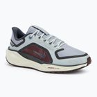 Мъжки обувки за бягане Nike Pegasus 41 GTX ight pumice/ burgundy crush/ dark smoke grey/ ashen slate