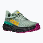 Дамски обувки за бягане HOKA Challenger ATR 7 aloe vera/black