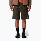 Мъжки къси панталони/шорти The North Face Limestone new taupe green