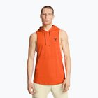 Мъжка тренировъчна тениска Under Armour Project Rock Payoff SL HD orange