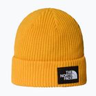 Зимна шапка The North Face Salty Lined