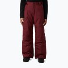 Детски скиорски панталони The North Face Freedom Insulated Sumac