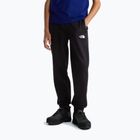 Мъжки панталони за бягане The North Face Performance Fleece Jogger tnf black