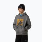 Детски суитшърт The North Face Sports Oversized Hoodie Graphic smoked pearl
