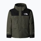Детско яке за дъжд The North Face Mountain Down new taupe green