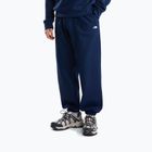 Мъжки суитшърт The North Face Evolution Simple Dome Regular Hoodie summit navy